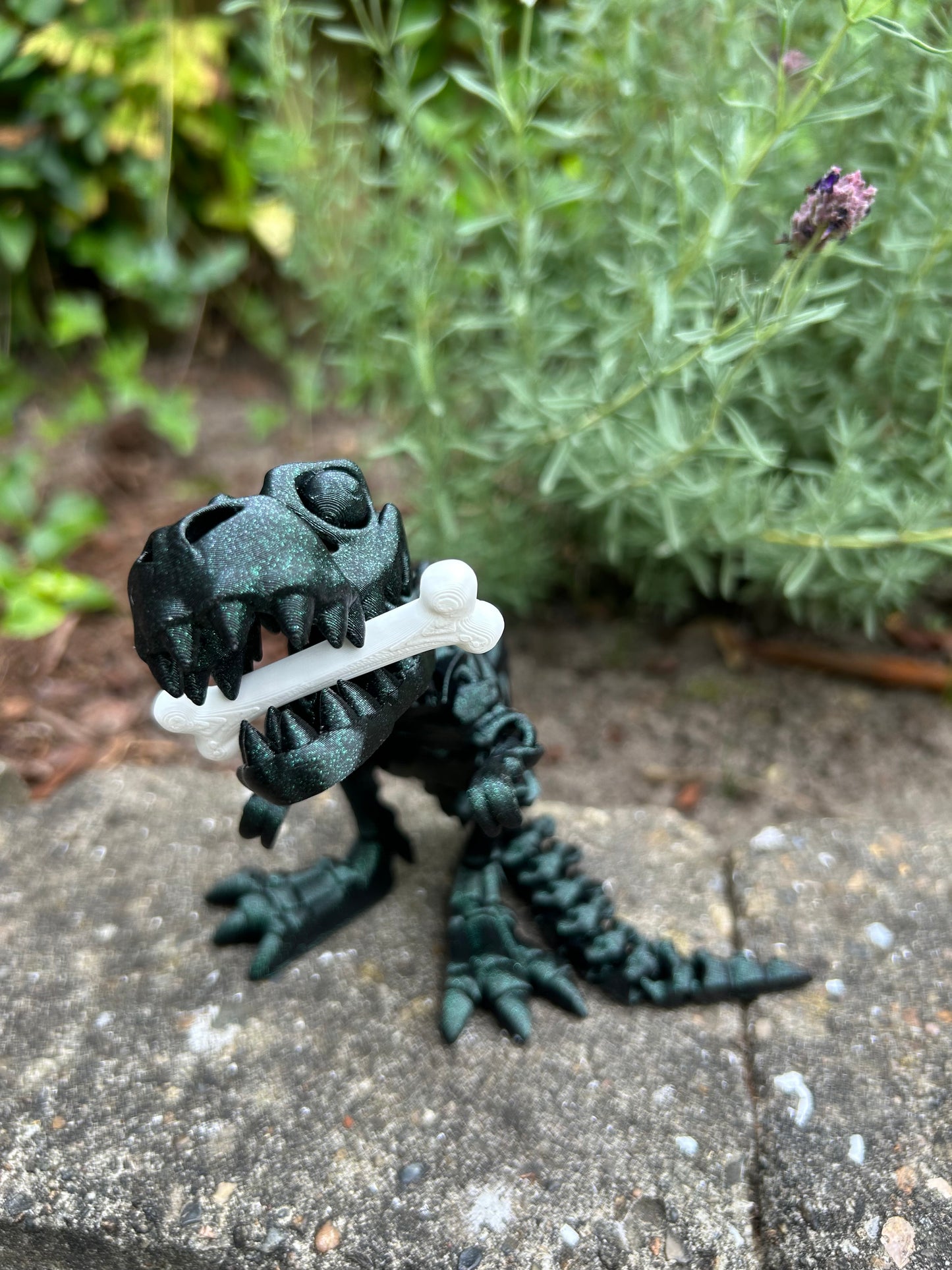 Skelet T-Rex