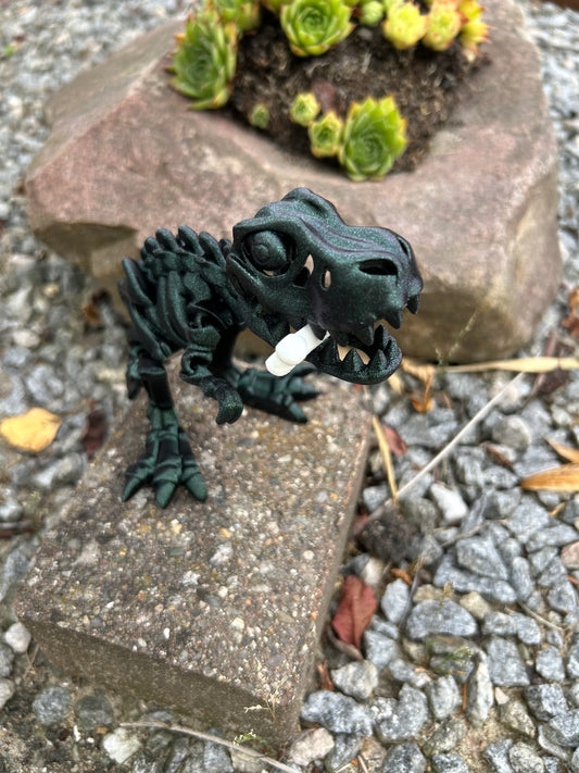 Skelet T-Rex