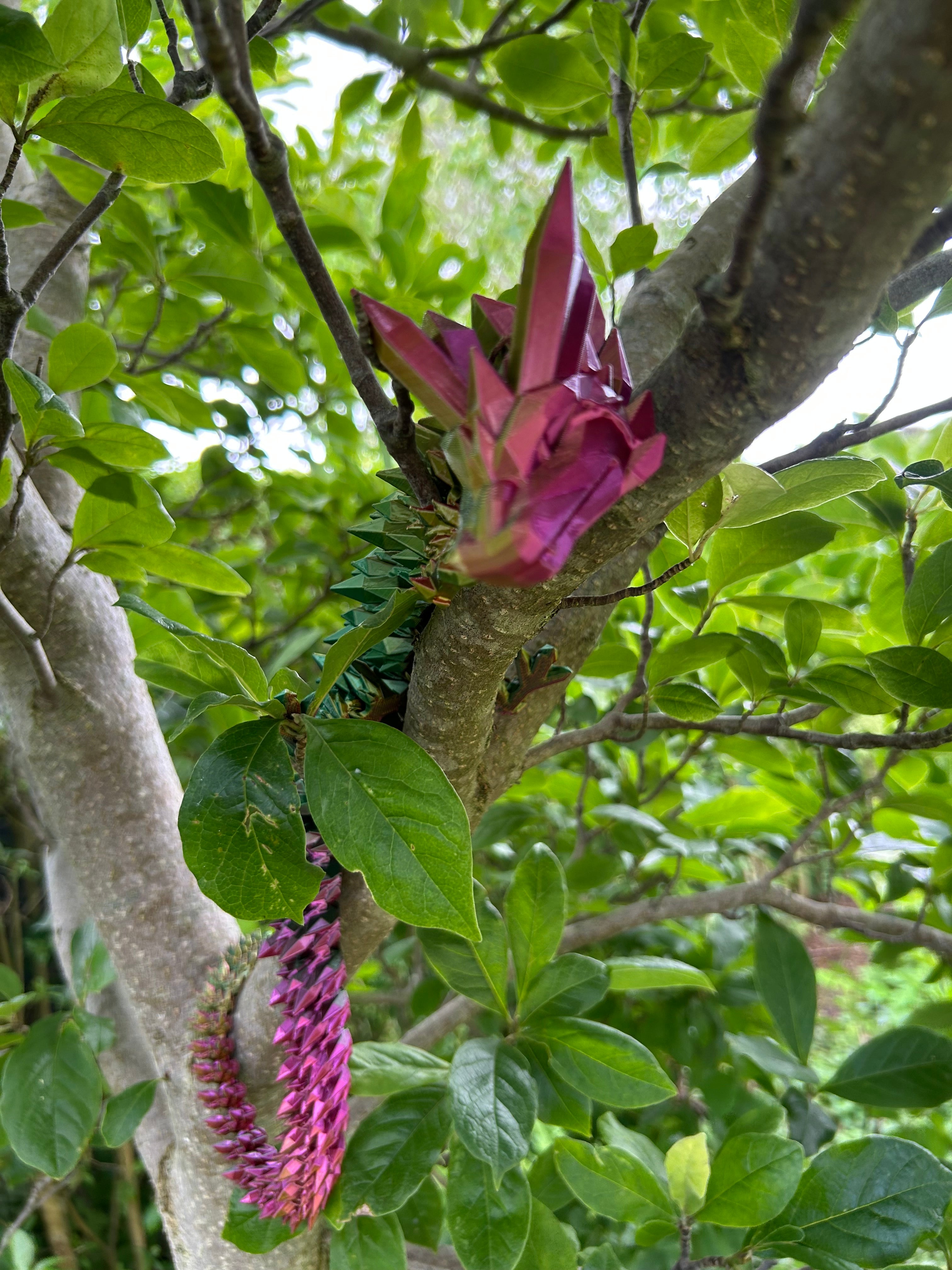 Krystal drage 3D Printet Fidget